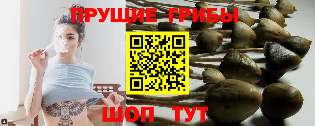 Саяногорск  Псилоцибиновые грибы ЛСД  Вход с VPN 